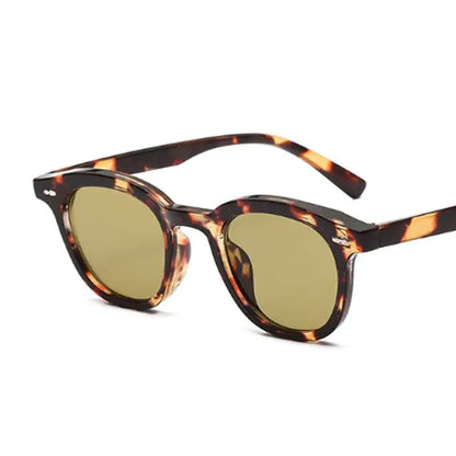 Classic Polarized Shades