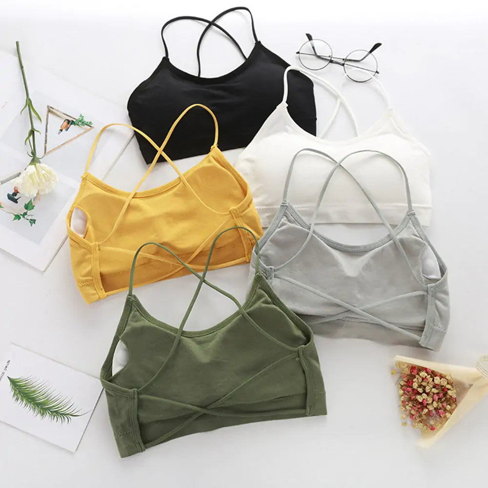Performance Sports Bra