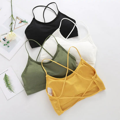 Performance Sports Bra