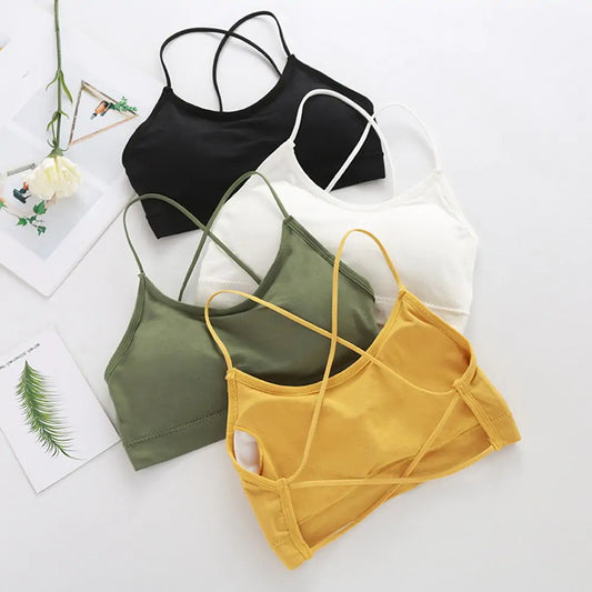Performance Sports Bra